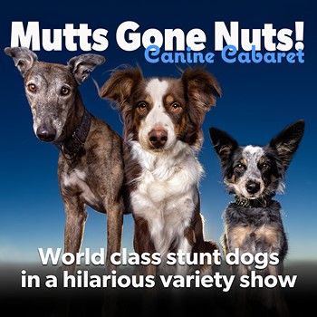 Mutts Gone Nuts - Paramount Theatre